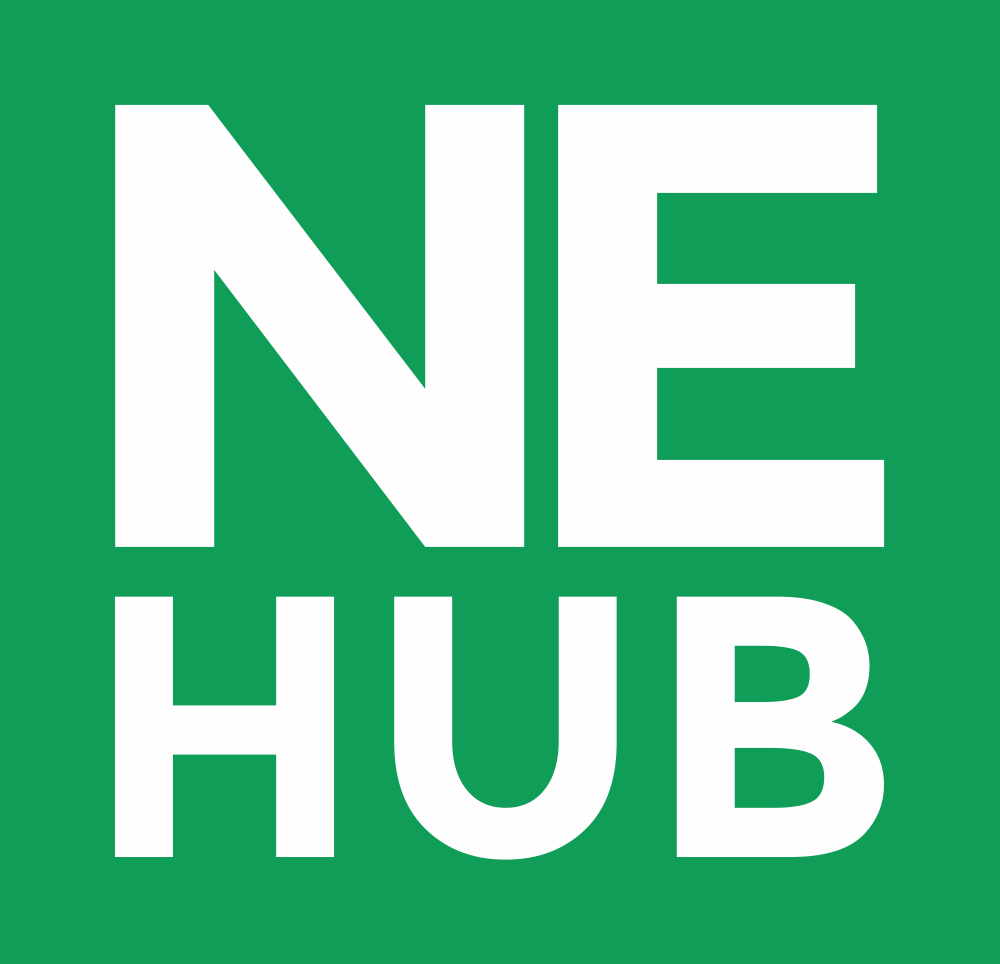 Nepal-E-Hub-logo-2-markonly